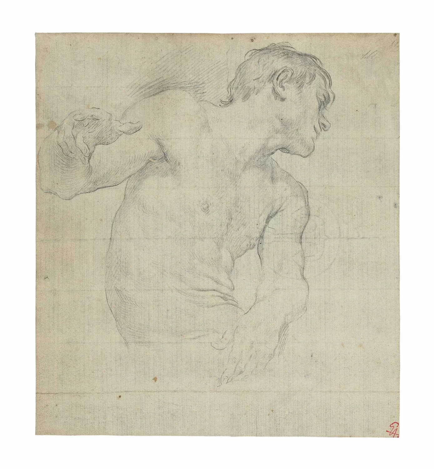 Studio di nudo maschile, a mezzo busto, rivolto verso destra